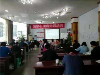 风采8